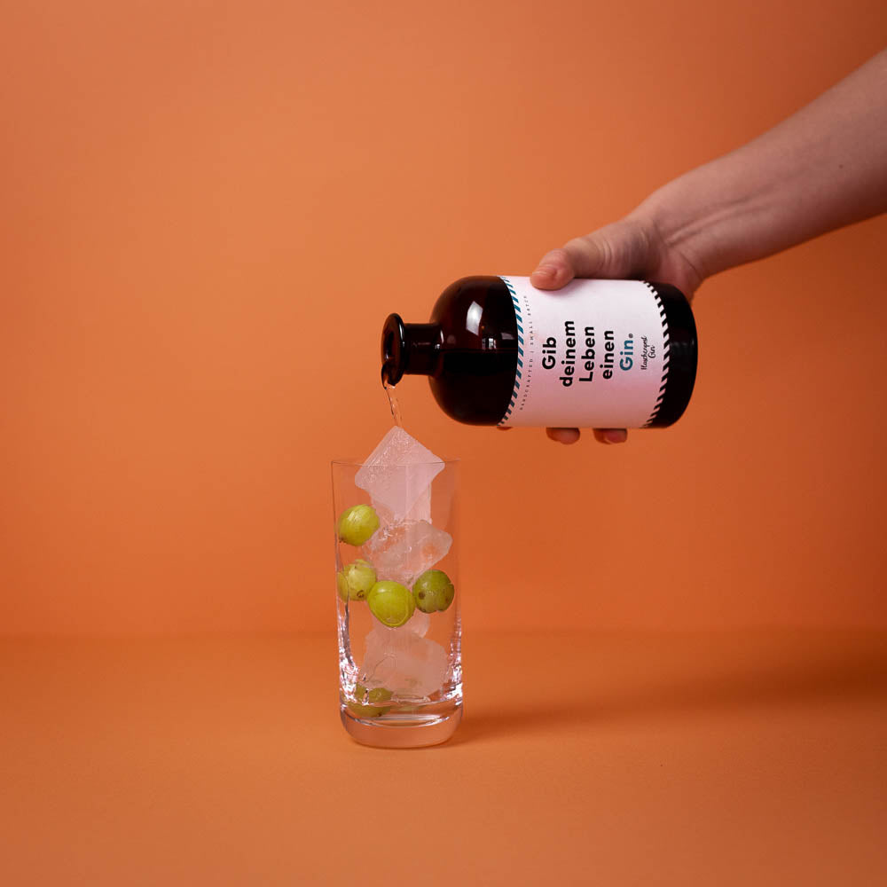 Der Gin Gib deinem Leben einen Gin von Flaschenpost Gin wird in das Cocktailglas gegeben für den perfekten Drink im Frühling