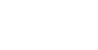 Das Flaschenpost Gin Logo in weiß
