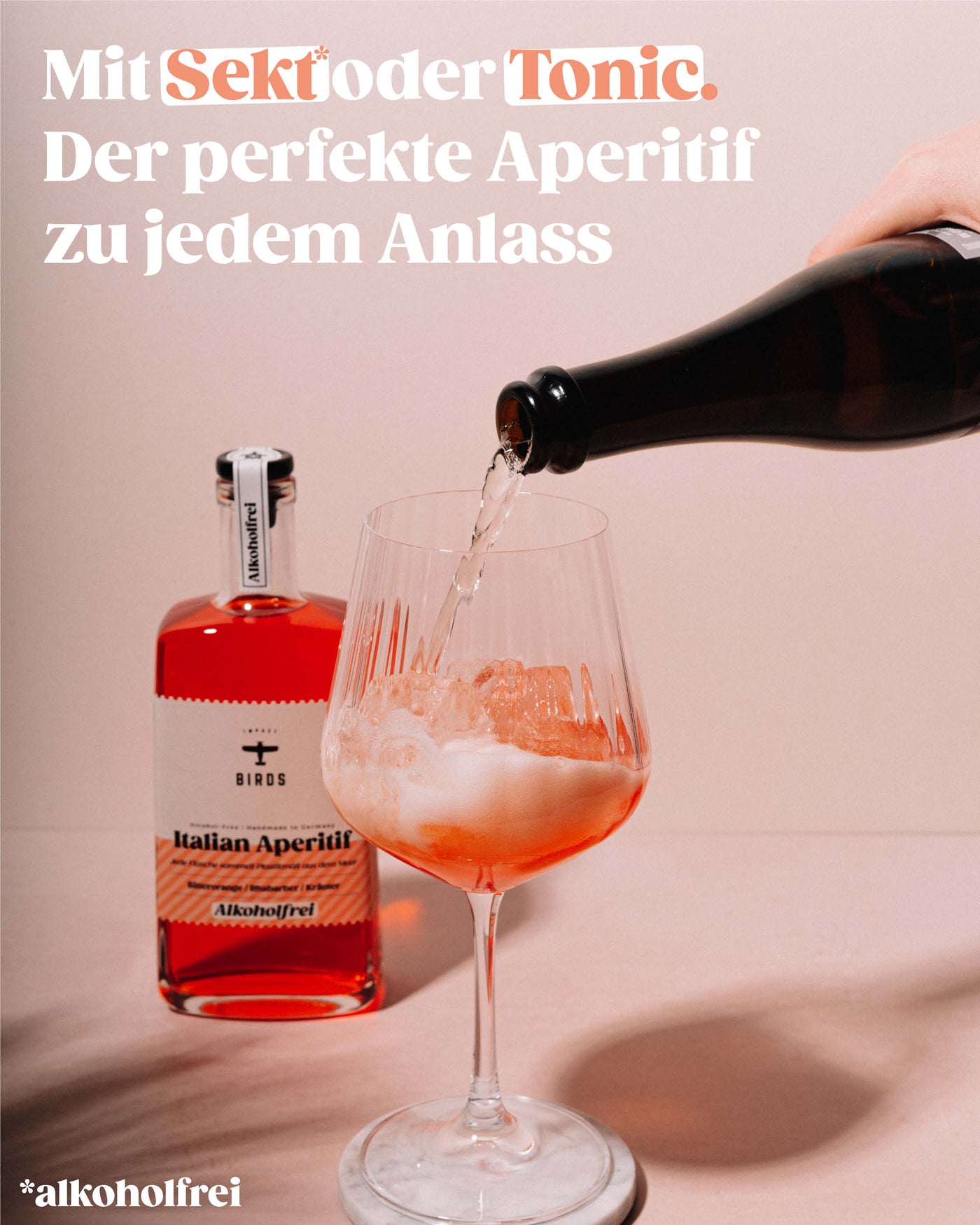 BIRDS Probierpaket - Alkoholfrei | Apéro & Gin Alternative