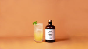 Der perfekte Drink für heiße Tage ist der Fenchler mit Flaschenpost Gin 